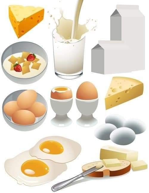  Dairy & Eggs